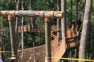 Entering Treetop Canopy Walk