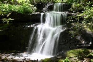 road turn branch falls in the great smoky mountains national park