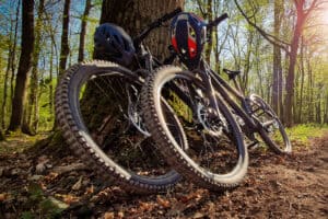 mountain biking rentals